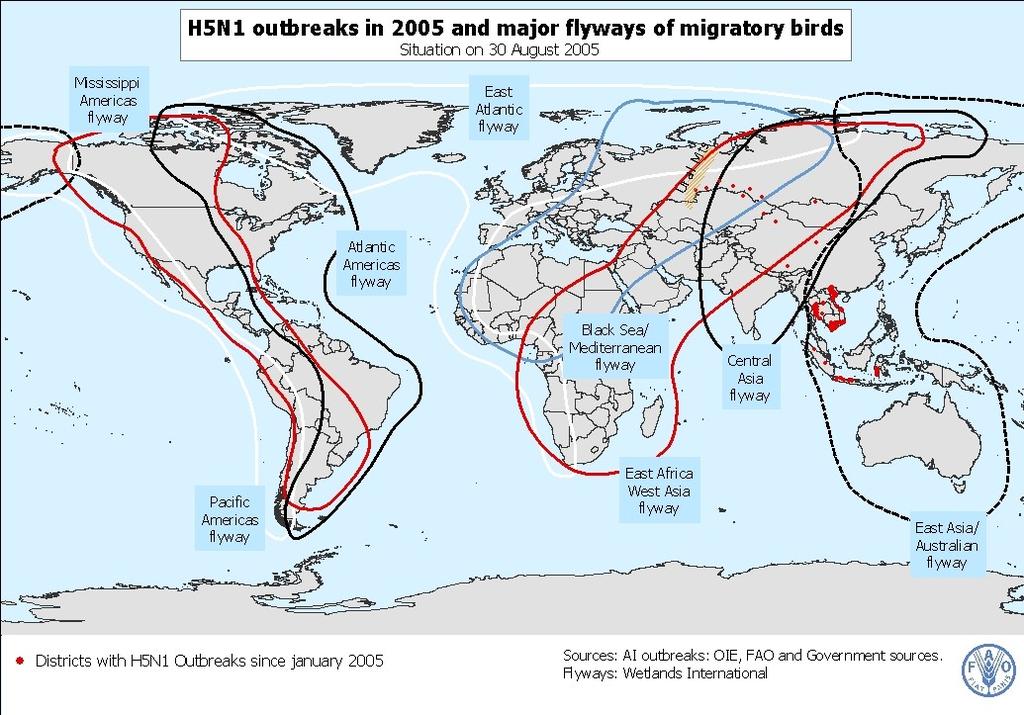 HPAI subtype H5N1 might be carried along migration routes of wild water birds to densely populated areas in the south Asian subcontinent and along migratory flyways to Africa and Europe.