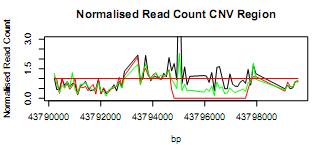 Development of CNV detection
