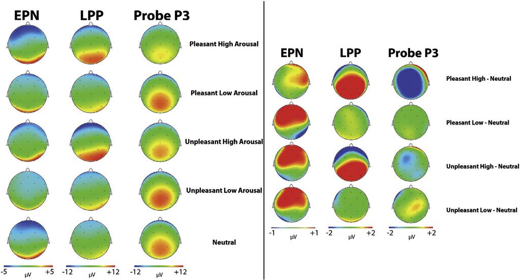 378 Leite, J., Carvalho, S., et al. / International Journal of Psychophysiology 83 (2012) 375 381 Fig. 1. Grand average ERP waveforms for passive picture viewing.