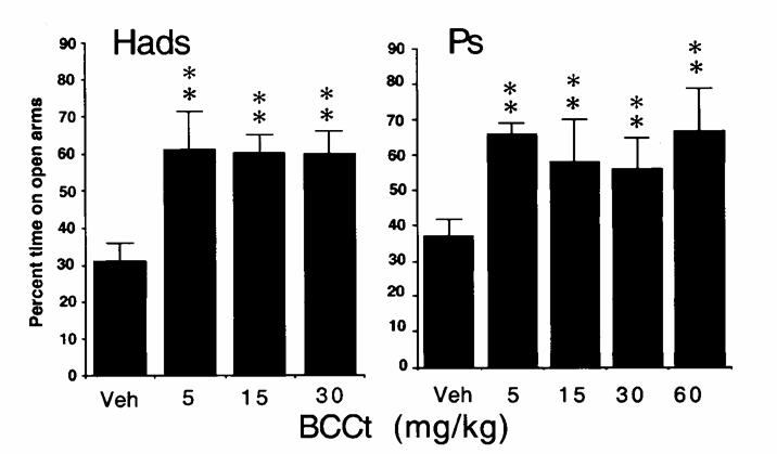 Reduced Anxiety with βcct treatment In mouse EPM (elevated plus maze),