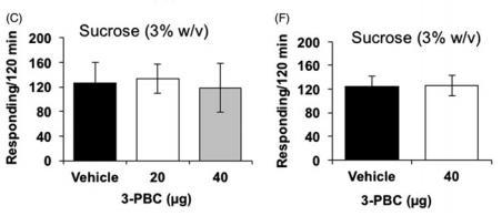 impulsivity Decreases the response for alcohol without effecting the sucrose drinking response