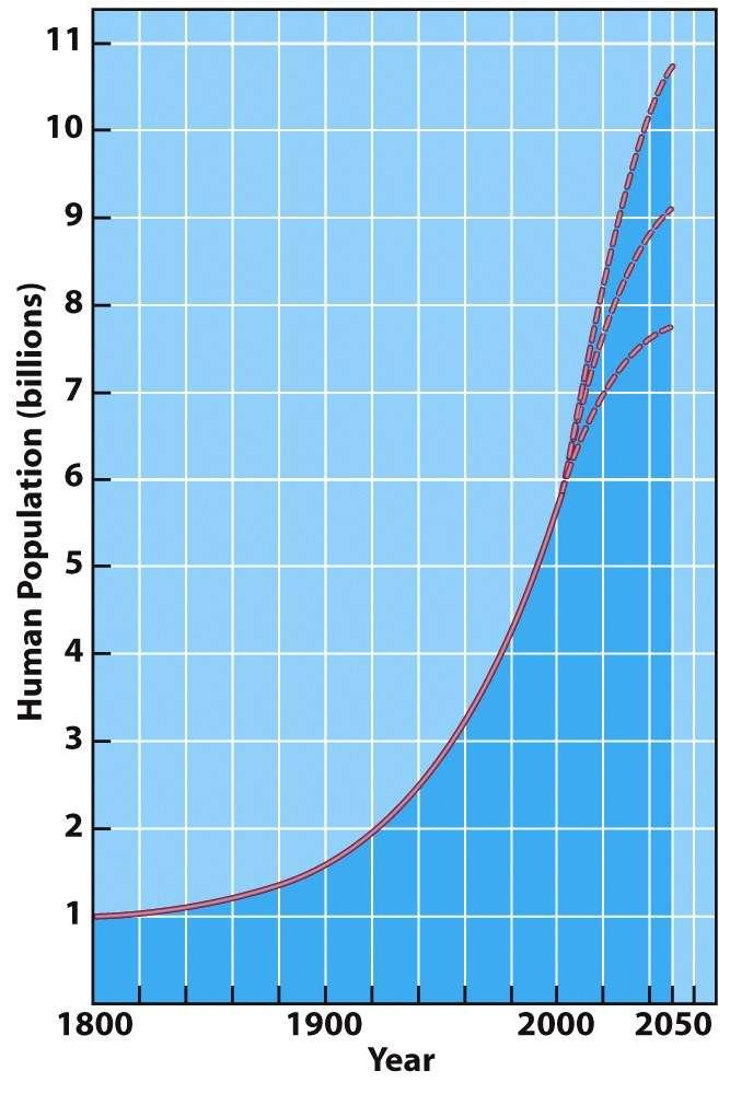 Projecting future populations Human Population since 1980 is J-shaped curve Population is increasing however growth