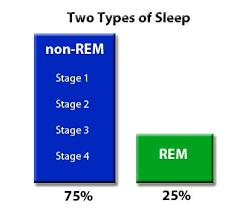 Non-REM Sleep Stages 1-4