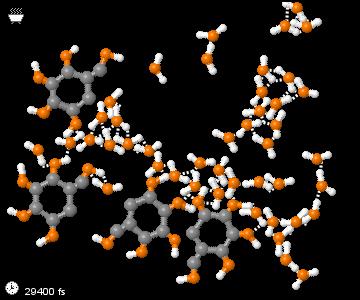 Fill in a snapshot image that shows glucose molecules mix better with water molecules. 1.