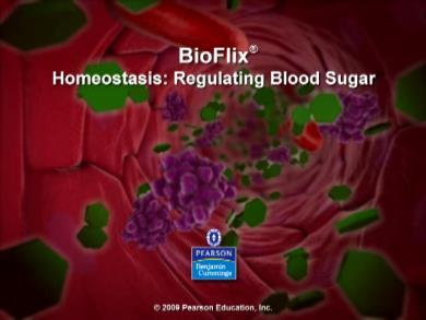Breakdown of glycogen and release of glucose into blood Glucagon Secretion of glucagon by alpha cells of the pancreas BioFlix: Homeostasis: Regulating Blood Sugar Diabetes Mellitus The disease