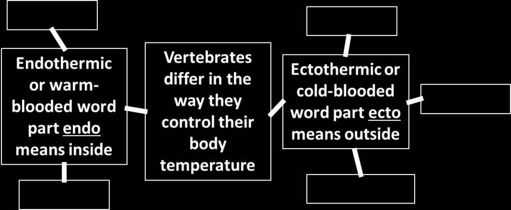 6-3.3 ENDOTHERMIC AND ECTOTHERMIC The graphs below display the body temperatures of two different animals.