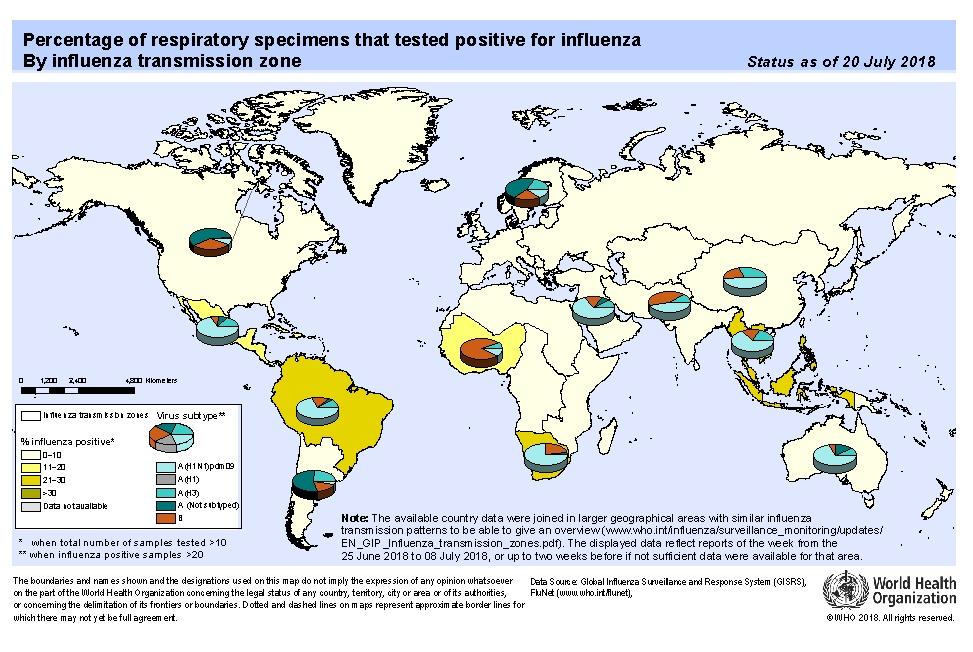 CURRENT FLU ACTIVITY Increased activity in South America Peak activity