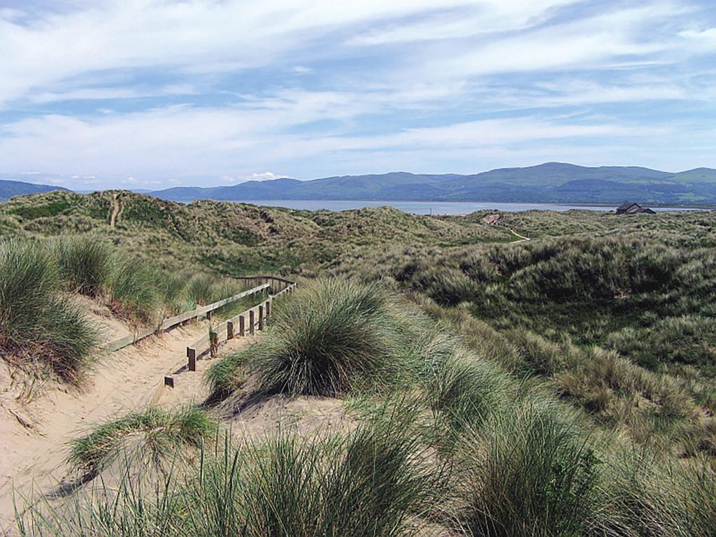 19 6. A group of scientists studied the sand dune ecosystem at Ynyslas, Ceredigion. They cleared a 10 m by 10 m section of land in the dunes to expose the soil.