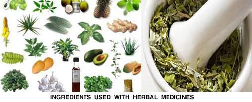 Herbal Medicine Herbal medicine, also called botanical medicine or phytomedicine - refers to using a plant s seeds, berries, roots, leaves, bark, or flowers for medicinal purposes.