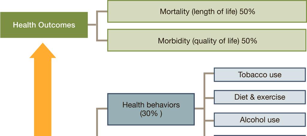 Figure 1: CHR conceptual model of population health Health factors were divided into focus areas including tobacco, diet and exercise, alcohol use, high risk sexual behavior, access to health care,