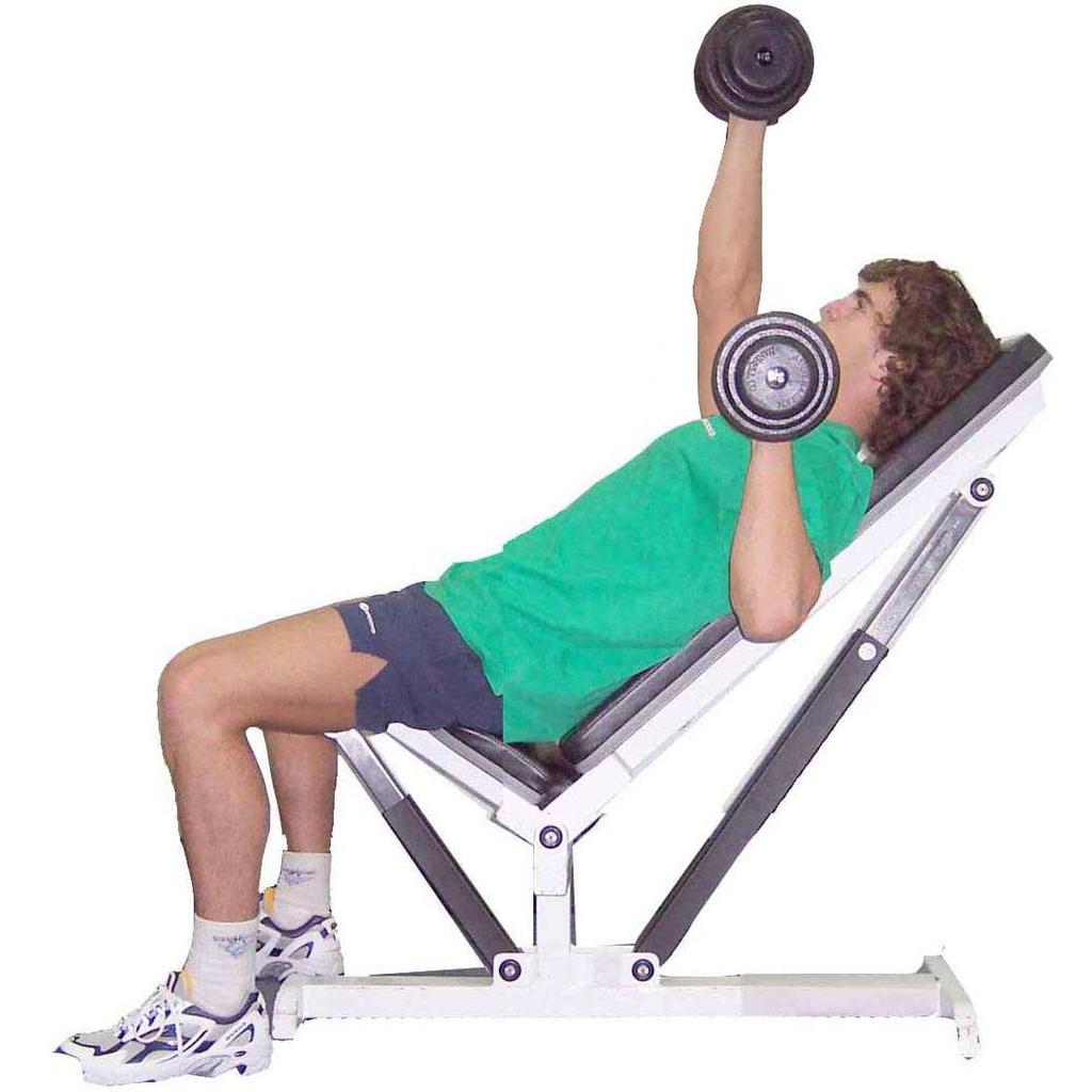 Incline Bench Press - Alternate Arm - Dumbbell Dumbbells positioned adjacent to shoulders