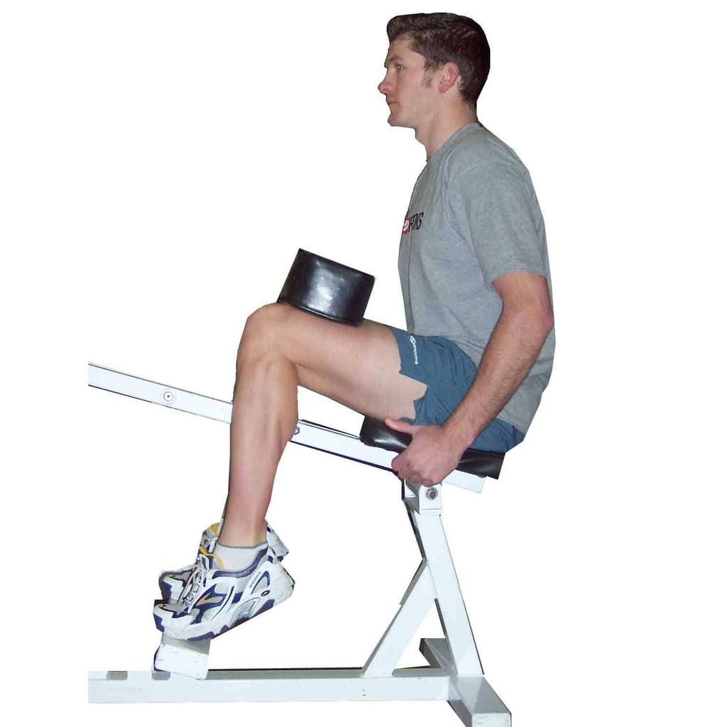 Calf Raise - Seated Sit into the machine Weight resting across thighs Toes on plate, ankles