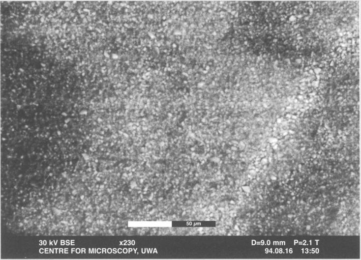 Fig. 5-Scanning electron micrograph showing the compacted, fine grain Vitremer glass ionomer surface with no visible porosity. X230. Vitremer, was 14.