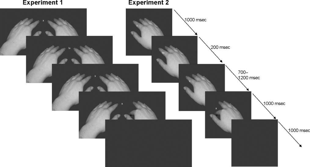 Figure 1. Sequence of visual stimuli in Experiments 1 and 2. In Experiment 1 (left panel), left and right hands were initially presented in a neutral posture.