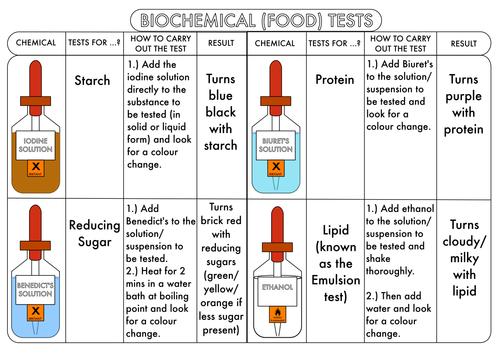 GCSE Required Practical Biology 1 Food Tests To find out if sugars, starch and/or proteins are in certain foods.