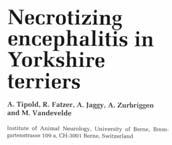 Granulomatous Meningoencephalitis (GME) Meningoencephalitis (NME) 1989 1995 Meningoencephalitis (NME) Meningoencephalitis (NME) Diagnosis Forebrain more involved than brainstem, cerebellum, spinal