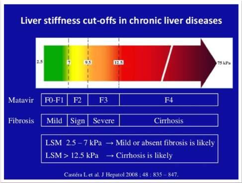 Role of liver biopsy in evaluating patients with chronic HCV?