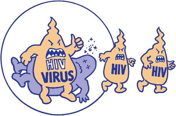 Mostly HIV looks for CD4 T cells, but it can find and infect other parts of the body.