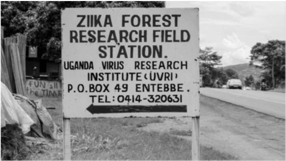 Zika History First isolated in 1947 from a monkey in Ziika