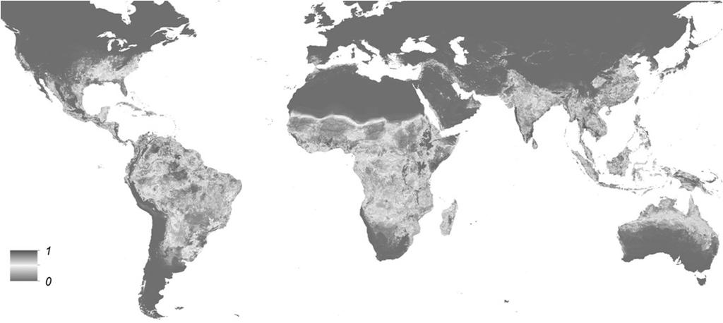 Predicted Global Distribution of Aedes aegypti Kraemer et al 2015 Other