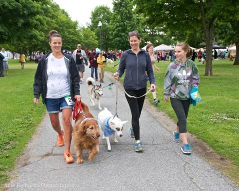 How you can Raise Money for the 23 RD Annual Walk for the Animals & 5K Doggie Fun Run BE A WALKER Set a fundraising goal for yourself and start right away to collect donations from friends,