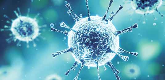 FAST FACTS About Viruses Many common winter maladies including colds, flu, croup and some cases of sinusitis, bronchitis and ear infections are caused by viruses. Viruses can spread in different ways.