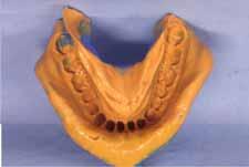 segment dentition (Figure 2).