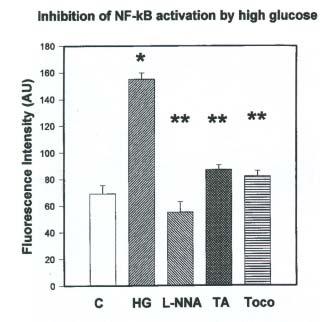 Effects of -Lipoic Acid on NF-kB Activity ALA decreases AGE induced NFkB activation in cultured endothelial cells Bierhaus A