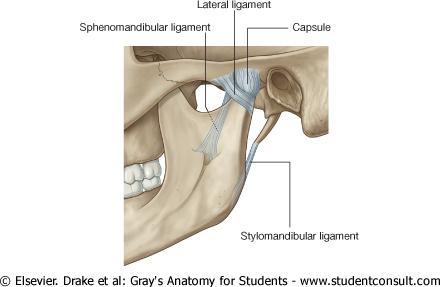 Temporomandibular Joint Ligaments Dr.