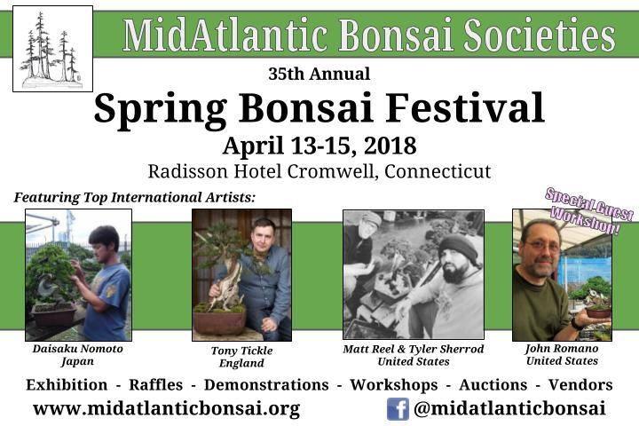 Don t Miss It! The annual MABS Spring Festival commences on Friday evening, April 13, and continues through Sunday afternoon, April 15.
