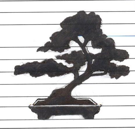 Please check the BSLV website for links to upcoming Bonsai-Related Events (to be posted shortly) http://www.bonsaisocietylehighvalley.