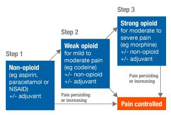 Move over WHO Morphine works better for moderate pain than weak opioids, with