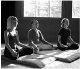 training Mind/Body Meditation, Yoga, Tai