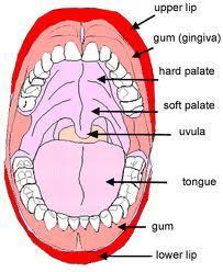 Daily Oral Hygiene Chart Please comment and tick in each box 2 times daily when oral hygiene is under taken.