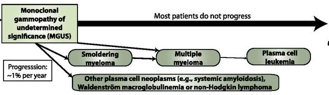 Premalignant clonal LYMPHOID proliferations Monoclonal gammopathy of undetermined significance Post GC B-cell MGUS Most patients do not progress - Non-IgM MGUS (plasma cell)