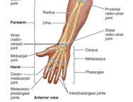 Over 70 million adults currently suffer from arthritis or some other debilitating chronic joint