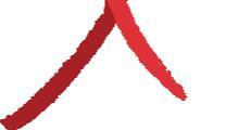Nurses in AIDS Care (CANAC) Canadian HIV/AIDS Pharmacists Network (CHAP) Canadian