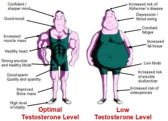 Testosterone levels Optimal vs.