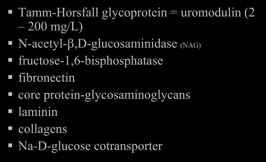 Kidney-derived proteins in normal urine Tamm-Horsfall glycoprotein = uromodulin (2 200 mg/l) N-acetyl-,D-glucosaminidase