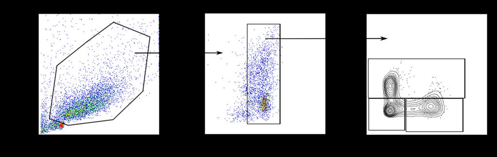 Supplemental figure 7. Characterization of monocyte derived cells by flow cytometry. A) Cells are gated by forward scatter and side scatter.