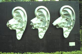 EXTERNAL EAR Sound collector