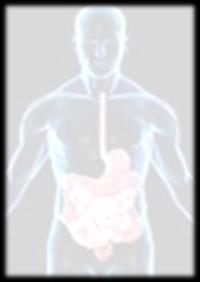 The gut microbiome The gut