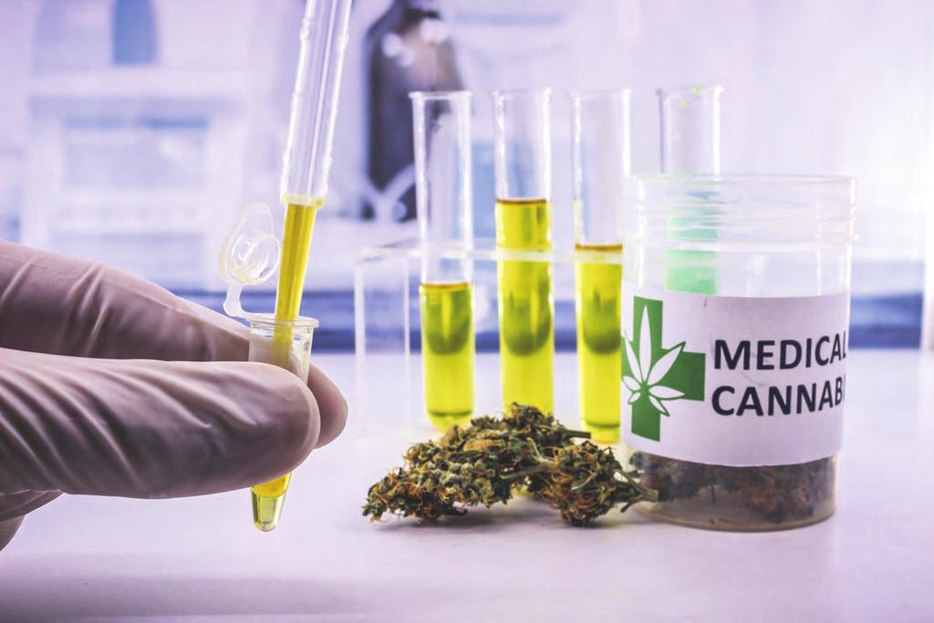 What are the benefits of taking CBD and other cannabinoids? There may be many.