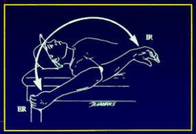 The Thrower s Shoulder Range of Motion Total Rotational
