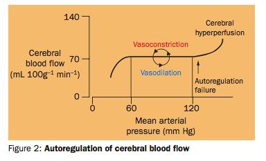Cerebral blood flow does not change in MAP 60-120 If there is an increase in MAP -> auto regulation is not work ->