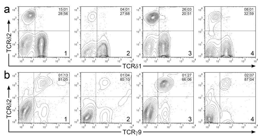 Propagted T cells maintain polyclonal TCR