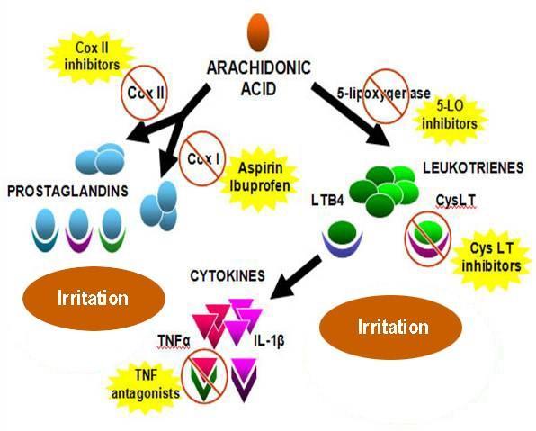Corticosteroids work via intracellular receptors and initiate several transcriptions and translations leading to their multiple effects.