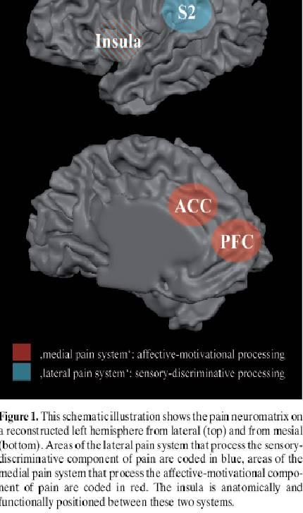 joy, depression Physiology of emotion links mental states and physical disease (Cannon 1928) Rebirth of Neuroscience (Lane et al 2009) Brain imaging A-B-C-D Model of
