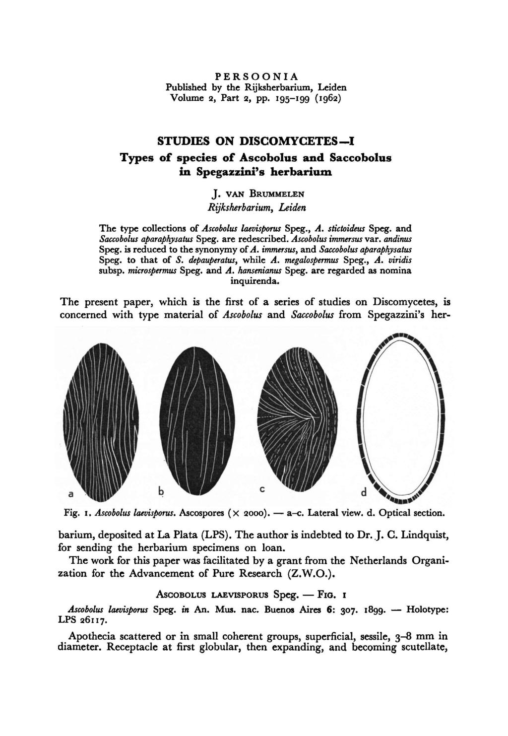FIG. PERSOONIA Published by the Rijksherbarium, Leiden Volume 2, Part 2, pp. 195-199 (1962) Studies on discomycetezi. s of species of Ascobolus and Saccobolus in Spegazzini s herbarium J.