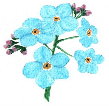 Visual identification We use the forget me not symbol to help staff identify when a patient has a cognitive impairment which could be a Dementia,